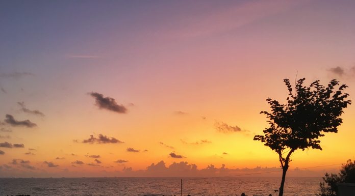 Eforie Sud în imagini – septembrie 2019