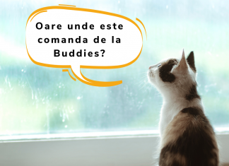 Alimentație sănătoasă pentru pisici: Hrană uscată și umedă de la Applaws pet shop