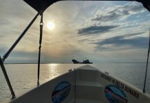 O zi în Sulina în imagini – mai 2021 delta dunarii